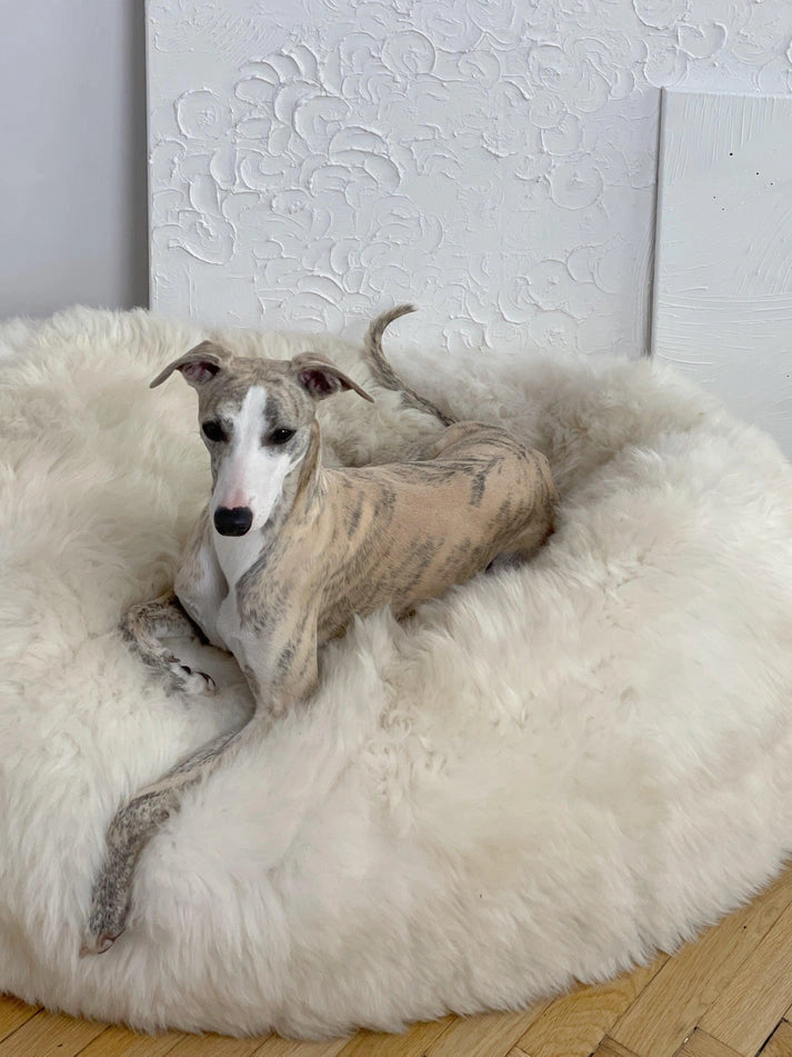 Aaponminimarket Oval Natural Sheepskin Pet Bed (White)