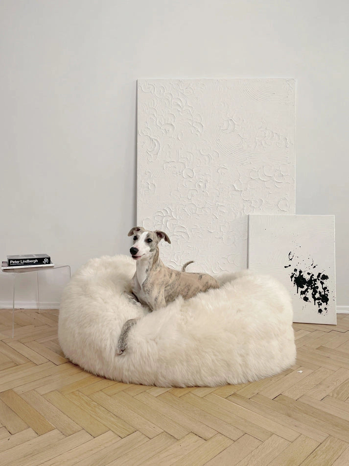 Aaponminimarket Oval Natural Sheepskin Pet Bed (White)