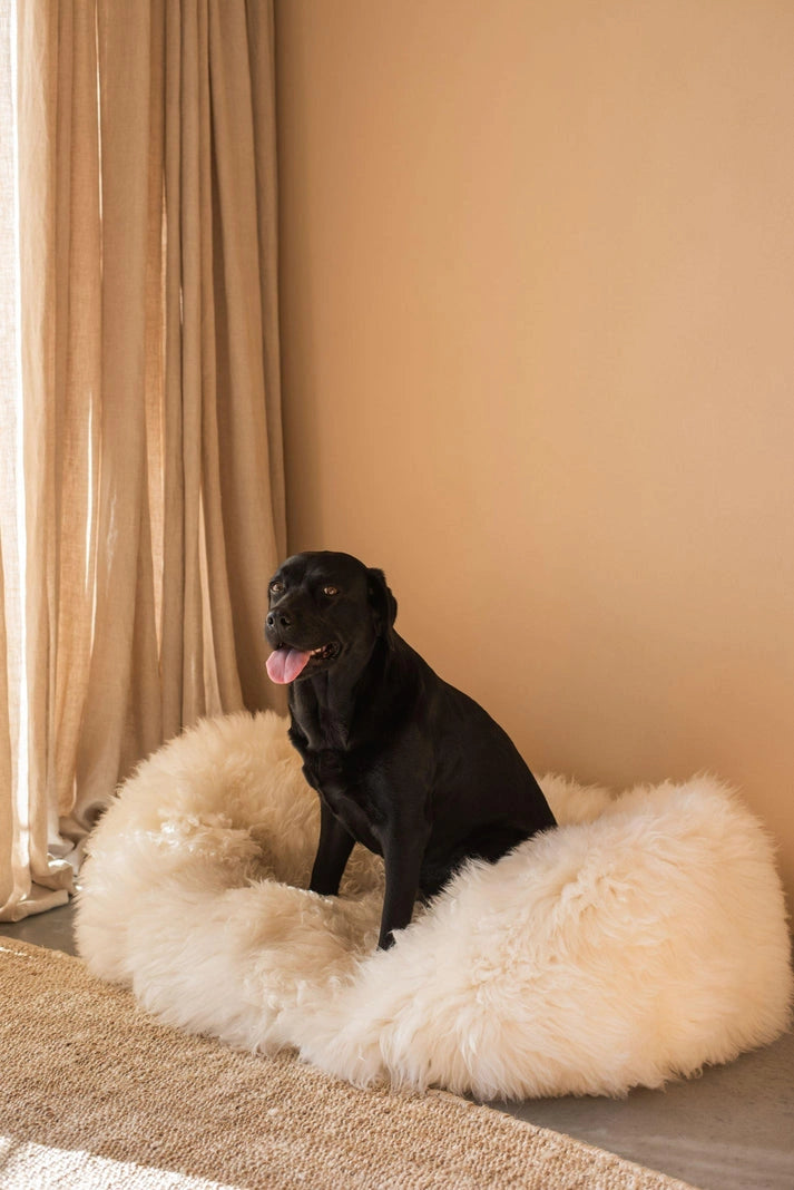 Aaponminimarket Oval Natural Sheepskin Pet Bed (White)