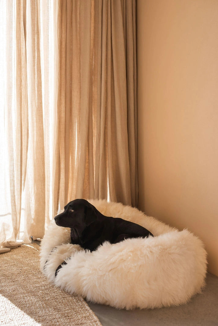Aaponminimarket Oval Natural Sheepskin Pet Bed (White)