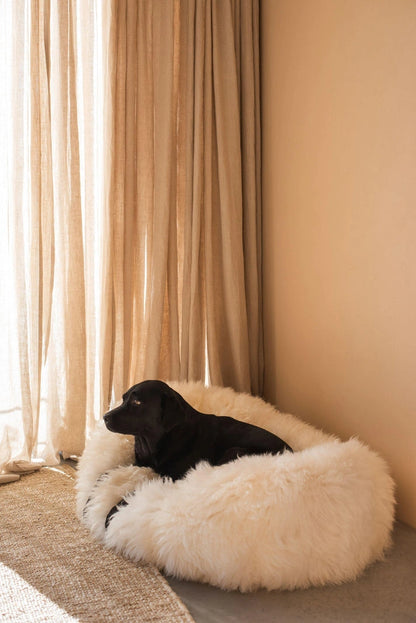 Aaponminimarket Oval Natural Sheepskin Pet Bed (White)
