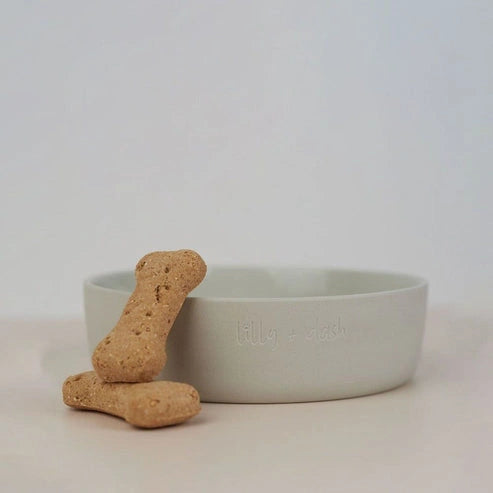 Aaponminimarket PetFeast Bowl
