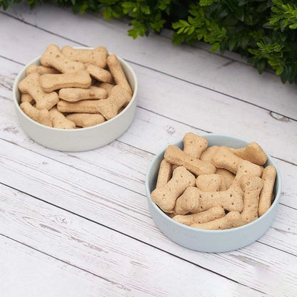Aaponminimarket PetFeast Bowl