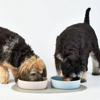 Aaponminimarket PetFeast Bowl