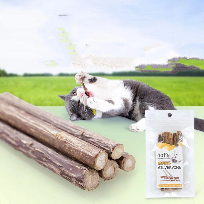 Aaponminimarket Pet Cat Molar Rod Molar Teeth Cleaning
