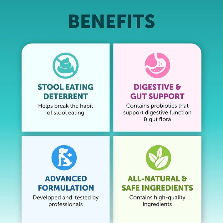 Aaponminimarket Pet Intestinal Probiotic Chewable Tablets
