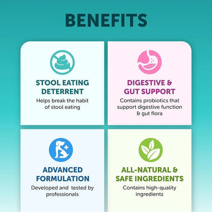 Aaponminimarket Pet Intestinal Probiotic Chewable Tablets