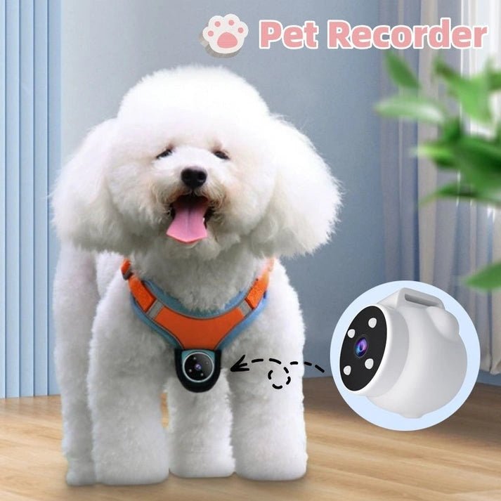 Aaponminimarket Pet Tracker Collar Dogs And Cats Recording Camera