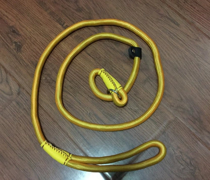 Aaponminimarket Pet leash dog leash dog chain
