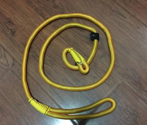 Aaponminimarket Pet leash dog leash dog chain