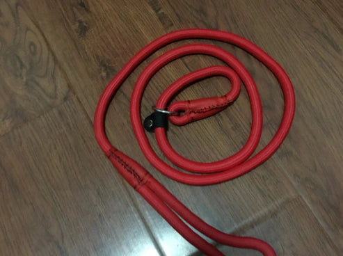 Aaponminimarket Pet leash dog leash dog chain