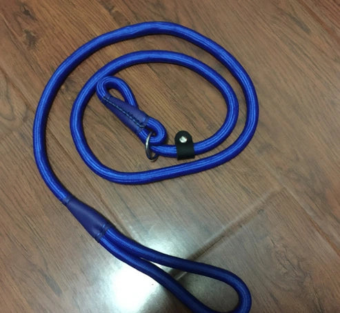 Aaponminimarket Pet leash dog leash dog chain