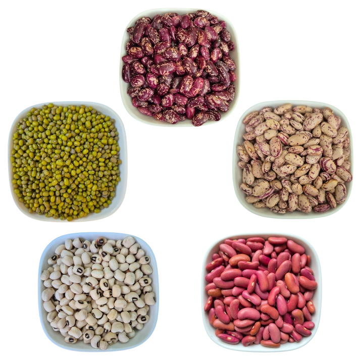 Aaponminimarket Premium Quality Organic White Kidney Beans