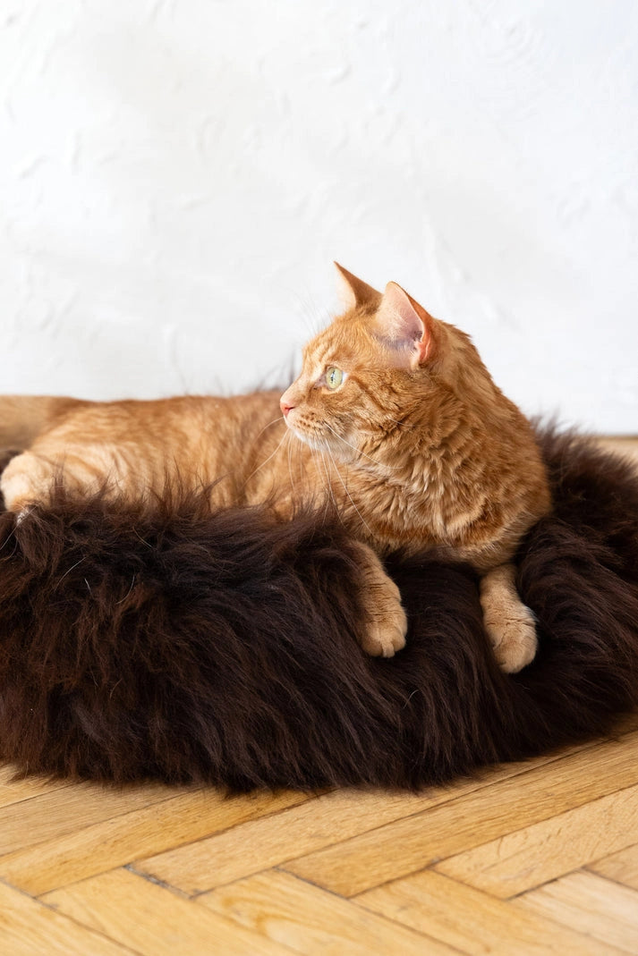 Aaponminimarket Round Natural Sheepskin Pet Bed (Brown)
