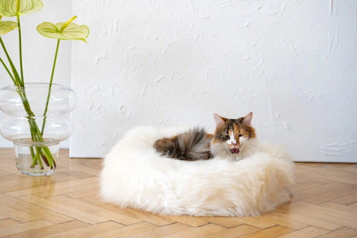 Aaponminimarket Round Natural Sheepskin Pet Bed (White)