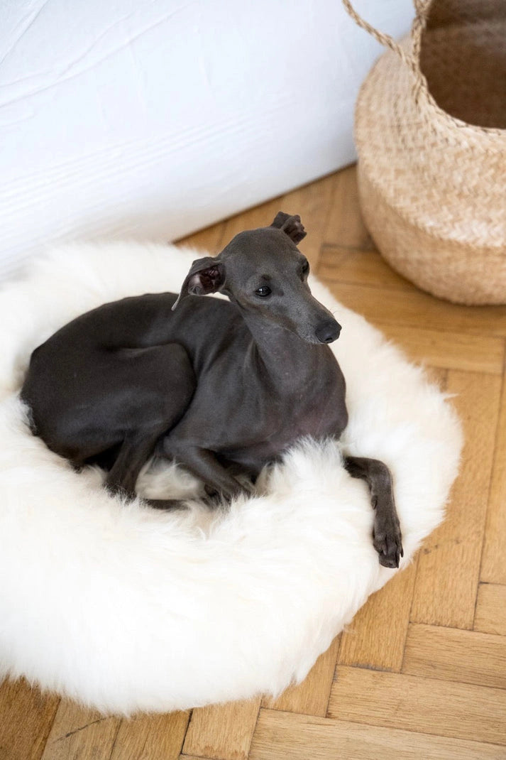 Aaponminimarket Round Natural Sheepskin Pet Bed (White)