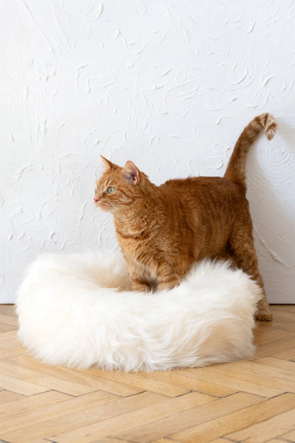 Aaponminimarket Round Natural Sheepskin Pet Bed (White)
