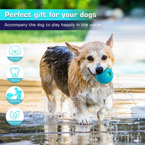 Aaponminimarket Squeaky Black Dog Play Ball