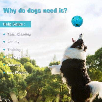 Aaponminimarket Squeaky Black Dog Play Ball