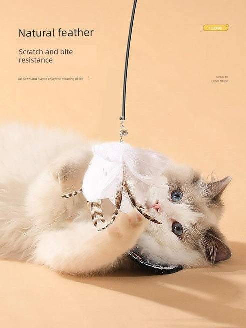Aaponminimarket Suction Cup Cat Toy: Long Brush Holder