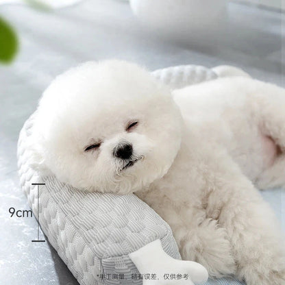 Aaponminimarket Summer Big Eyed Monster Pet Mat