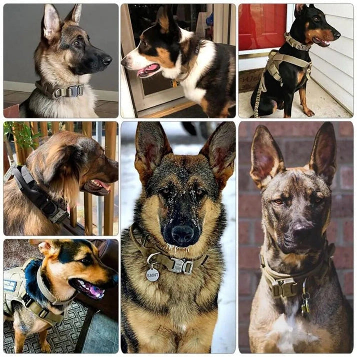 Aaponminimarket Tactical Dog Collar