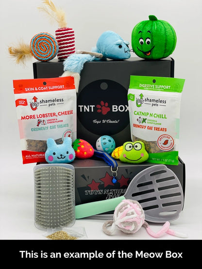 Aaponminimarket Toys N Treats Boxes for Dogs