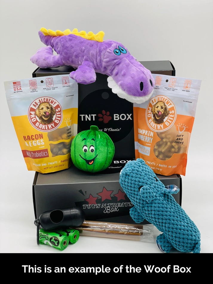 Aaponminimarket Toys N Treats Boxes for Dogs