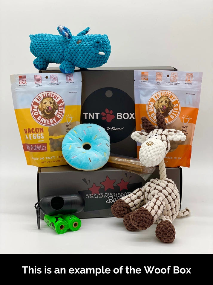 Aaponminimarket Toys N Treats Boxes for Dogs