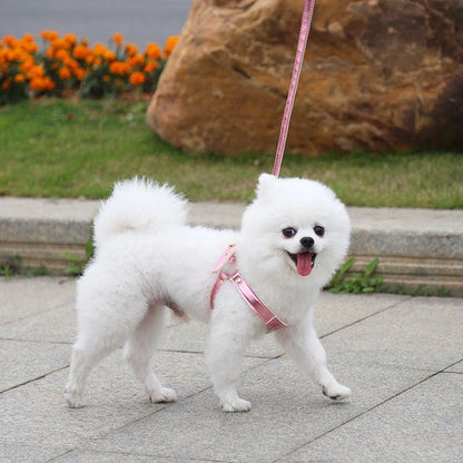 Aaponminimarket Traction Suit Chest Strap Dog Leash