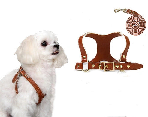 Aaponminimarket Traction Suit Chest Strap Dog Leash