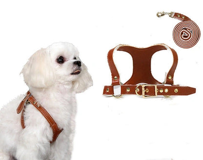 Aaponminimarket Traction Suit Chest Strap Dog Leash