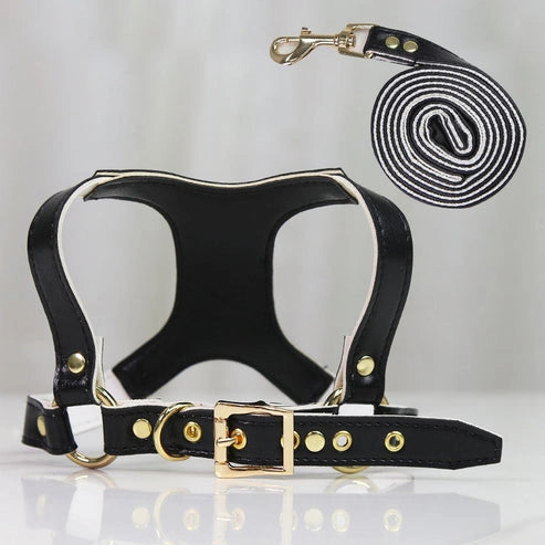 Aaponminimarket Traction Suit Chest Strap Dog Leash