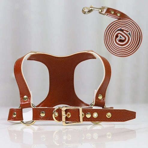 Aaponminimarket Traction Suit Chest Strap Dog Leash