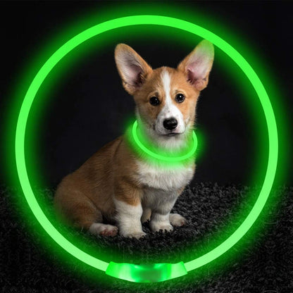 Aaponminimarket USB Rechargeable Safety Pet Collar