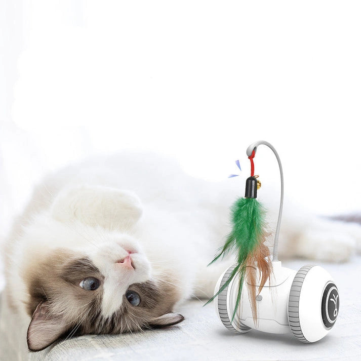 Aaponminimarket Ultimate Interactive Cat Playmate