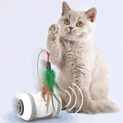 Aaponminimarket Ultimate Interactive Cat Playmate