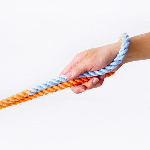 Aaponminimarket Versatile Double-Ended Dog Leash