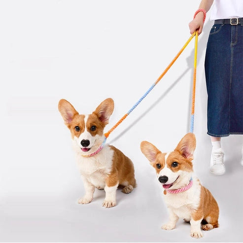 Aaponminimarket Versatile Double-Ended Dog Leash