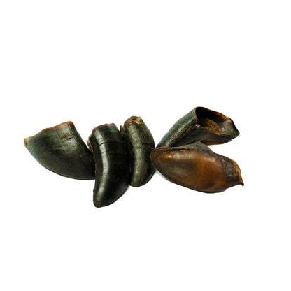 Aaponminimarket Water Buffalo Hooves Dog Chews (4 Count, 10 oz)