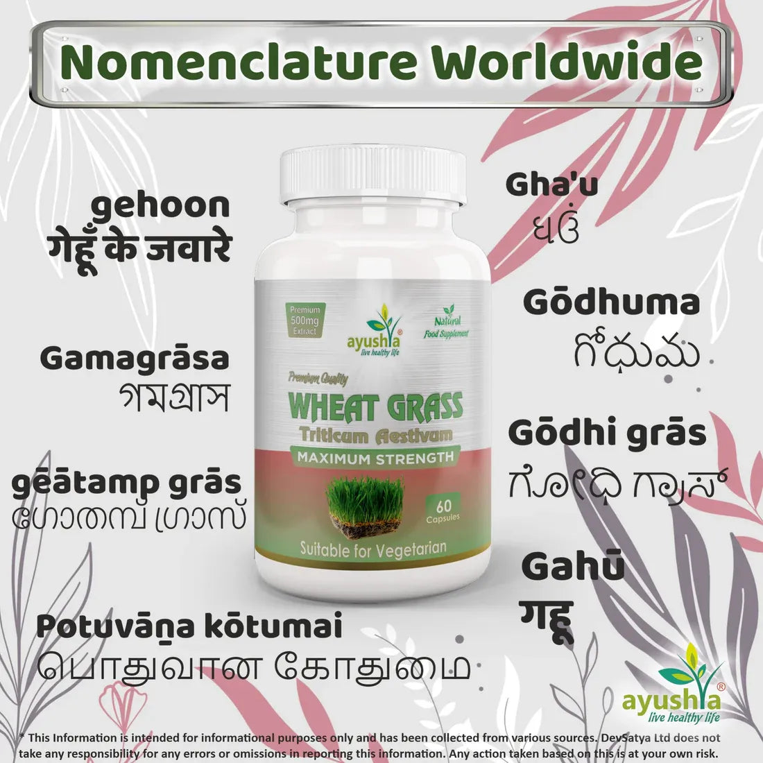 Aaponminimarket Wheat Grass Capsule