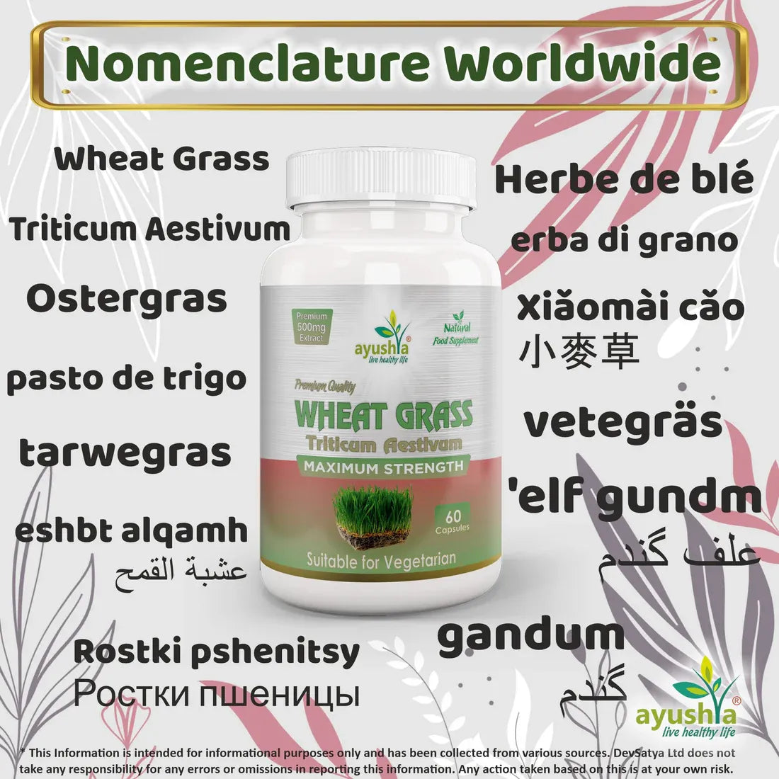 Aaponminimarket Wheat Grass Capsule