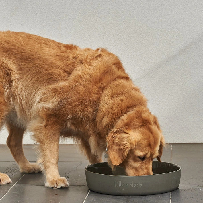 Aaponminimarket outdoor water bowls