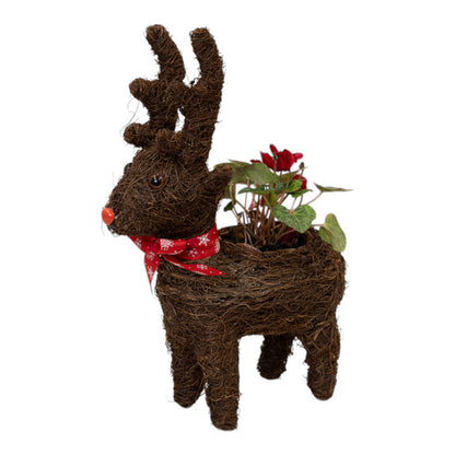 Rustic natural-fibre reindeer planter with red nose and snowflake scarf, holding a red cyclamen