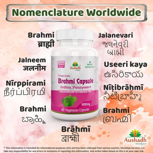 Aaponminimarket Aushadh Brahmi Capsules (Bacopa, Water Hyssop) Memory & Focus Support - Vegan, Gluten Free, Non-GMO, 60 Capsules
