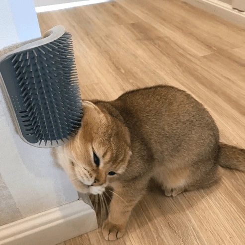 Aaponminimarket Cat Self-Grooming and Massaging Brush