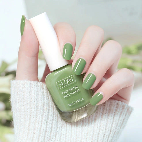 Chic Quick Dry Nail Polish (10ml)