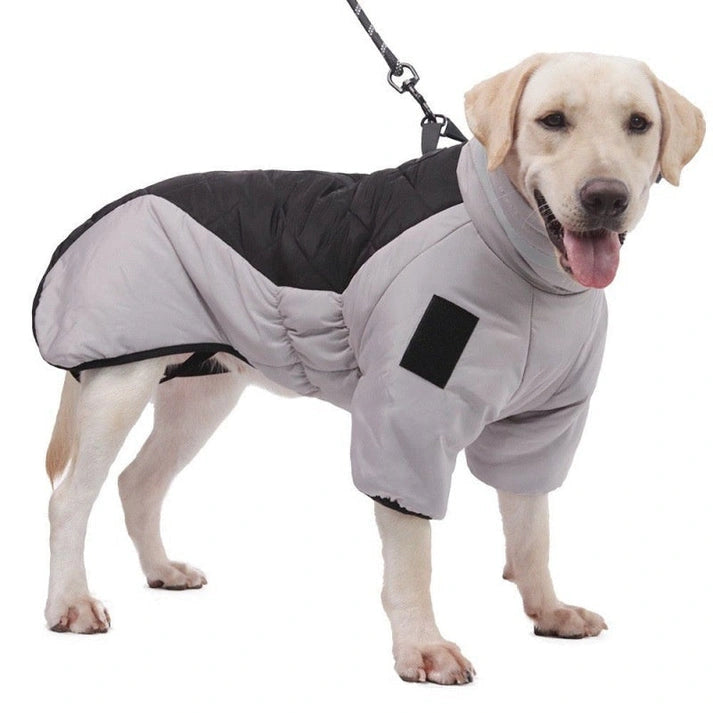 Aaponminimarket Dog Warm and Cozy in Style