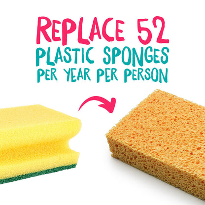 Aapon mini market -Compostable Cellulose Sponges