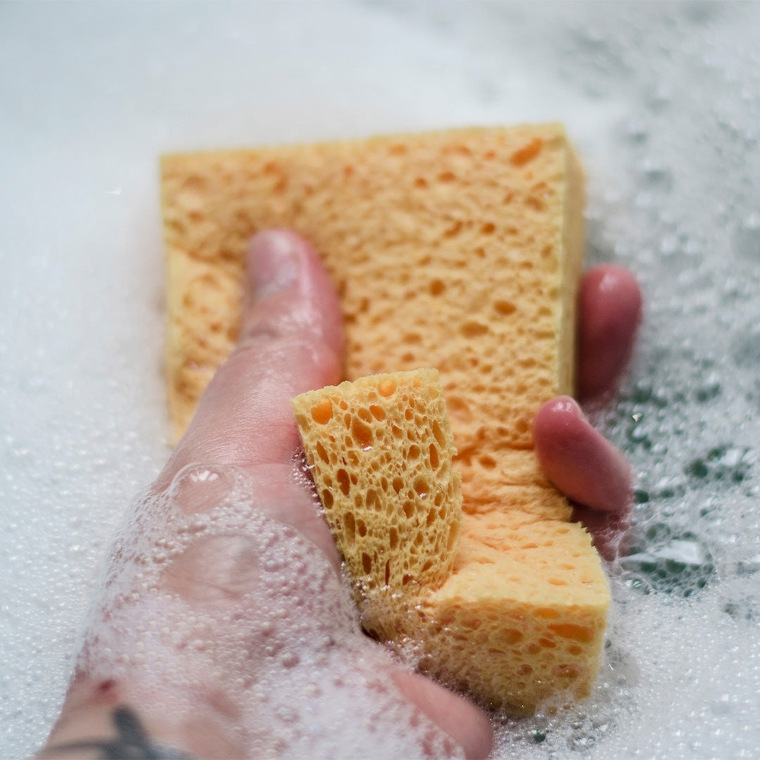 Aapon mini market -Compostable Cellulose Sponges